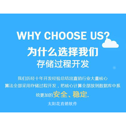 河北邢台安全的*软件开发_开发速度快